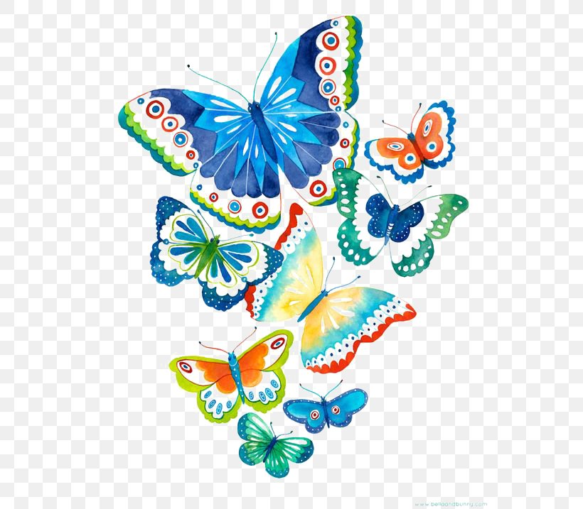 Butterfly Drawing Art Clip Art, PNG, 564x717px, Butterfly, Art, Brush Footed Butterfly, Clay, Color Download Free
