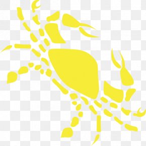 Cancer Astrology - Cancer Astrological Sign Sun Sign Astrology Zodiac PNG