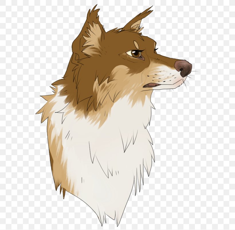 Dog Breed Red Fox Rough Collie Whiskers Snout, PNG, 600x801px, Dog Breed, Breed, Carnivoran, Cartoon, Character Download Free