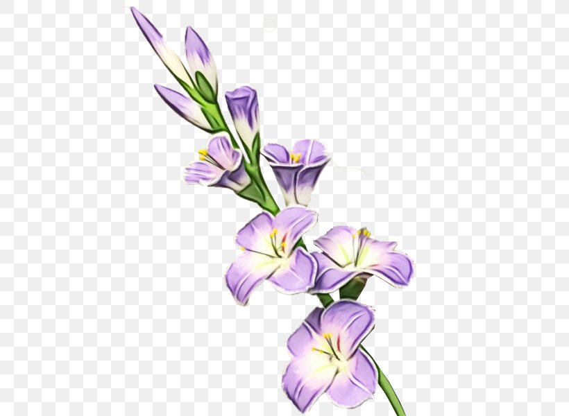 Flower Flowering Plant Plant Violet Purple, PNG, 600x600px, Watercolor, Crocus, Cut Flowers, Flower, Flowering Plant Download Free