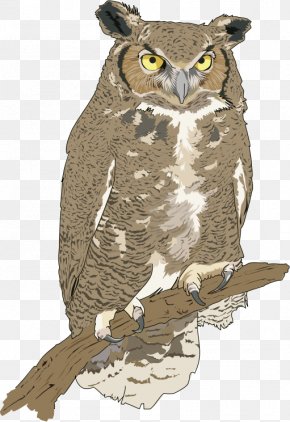 Artist - Great Horned Owl Eurasian Eagle-owl Snowy Owl Bird PNG