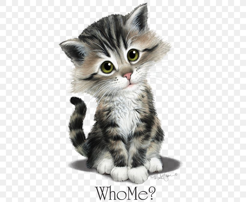Kitten American Shorthair European Shorthair American Wirehair Munchkin Cat, PNG, 675x675px, Kitten, Aegean Cat, American Shorthair, American Wirehair, Asian Download Free