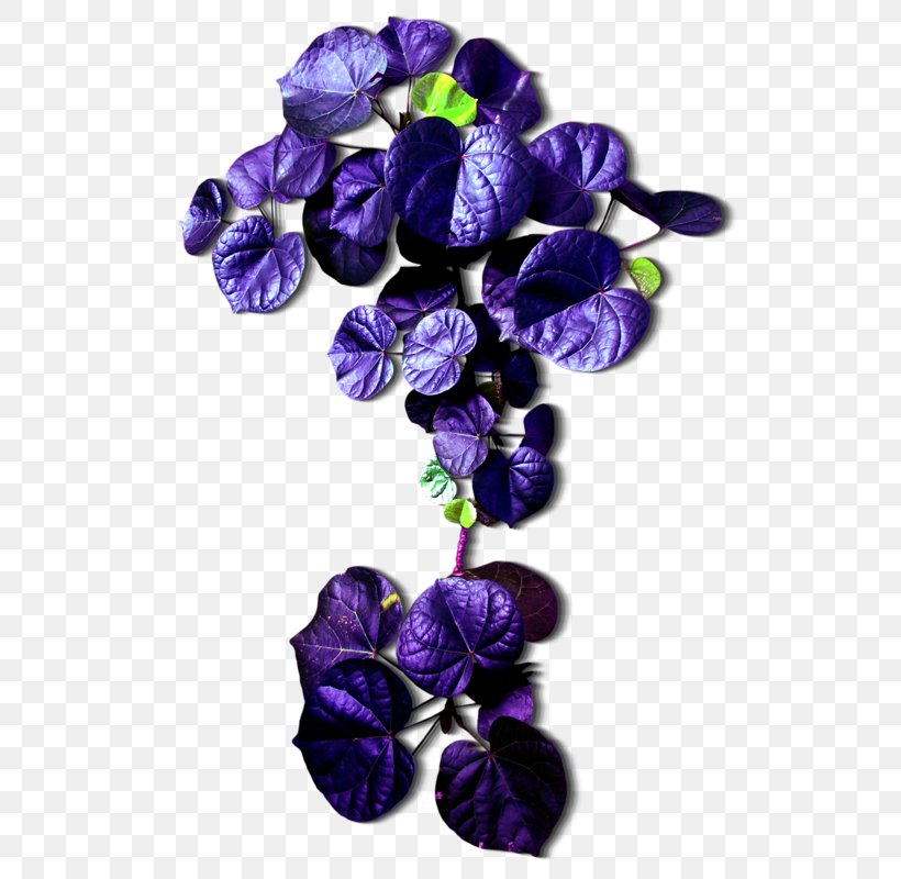Leaf Cut Flowers Purple, PNG, 540x800px, Leaf, Artificial Flower, Color, Cut Flowers, Data Download Free