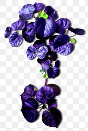 Leaf - Leaf Cut Flowers Purple PNG