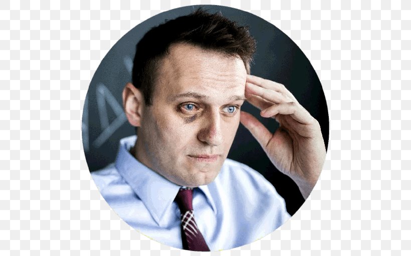 Alexei Navalny Russia Political Activist Opposition Anti-Corruption Foundation, PNG, 512x512px, Alexei Navalny, Activist, Anticorruption Foundation, Business, Businessperson Download Free