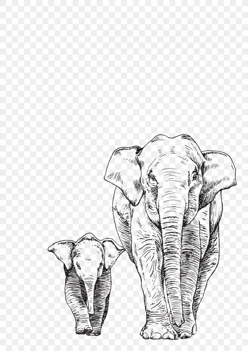 Asian Elephant Drawing African Elephant, PNG, 1200x1697px, Asian Elephant, African Elephant, Arm, Artwork, Black And White Download Free