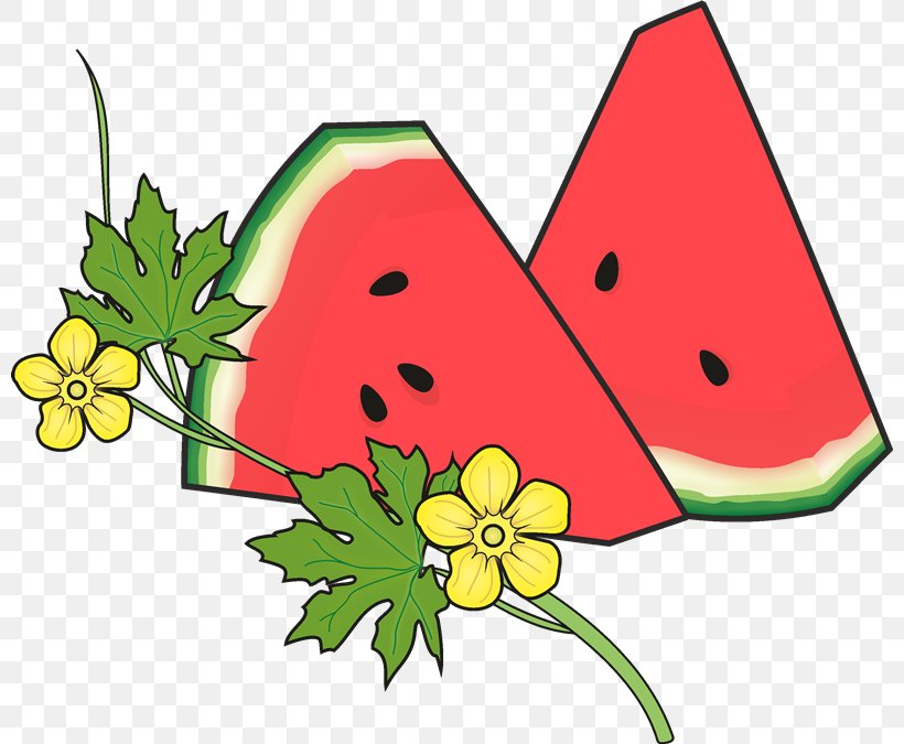 Drawing Watermelon Gospel Coloring Book, PNG, 800x675px, Drawing, Adult, Artwork, Auglis, Book Download Free