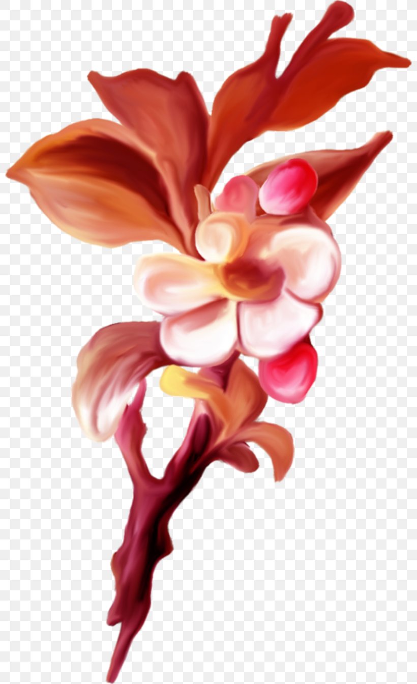 Flower, PNG, 800x1344px, Flower, Cut Flowers, Flora, Floral Design, Flowering Plant Download Free