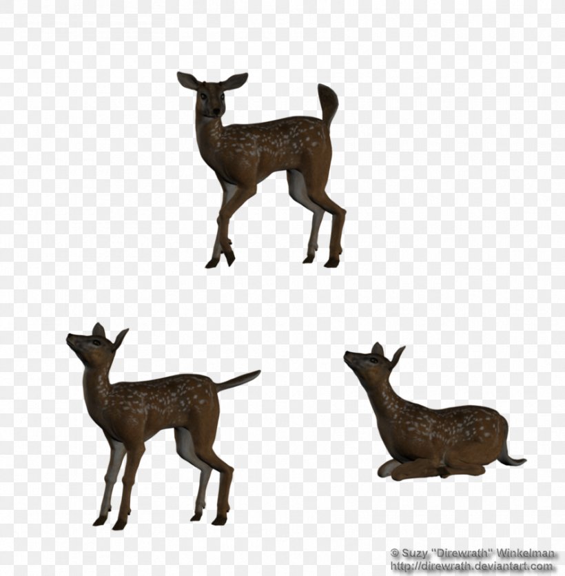 White-tailed Deer Silhouette, PNG, 885x903px, Deer, Animal, Animal Figure, Antelope, Antler Download Free