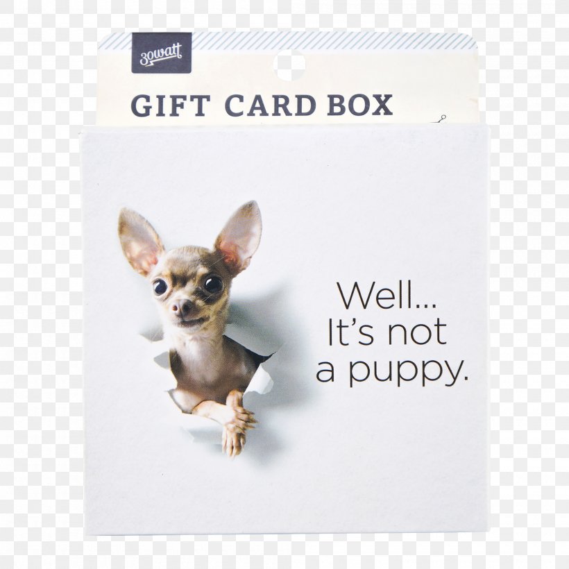 Chihuahua Royalty-free Stock Photography, PNG, 2000x2000px, Chihuahua, Carnivoran, Dog, Dog Breed, Dog Like Mammal Download Free