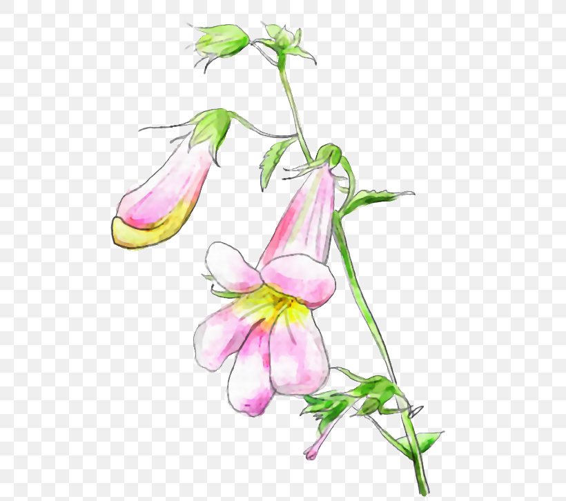 Desktop Wallpaper Floral Design Drawing, PNG, 514x726px, Floral Design, Bud, Cut Flowers, Drawing, Flora Download Free
