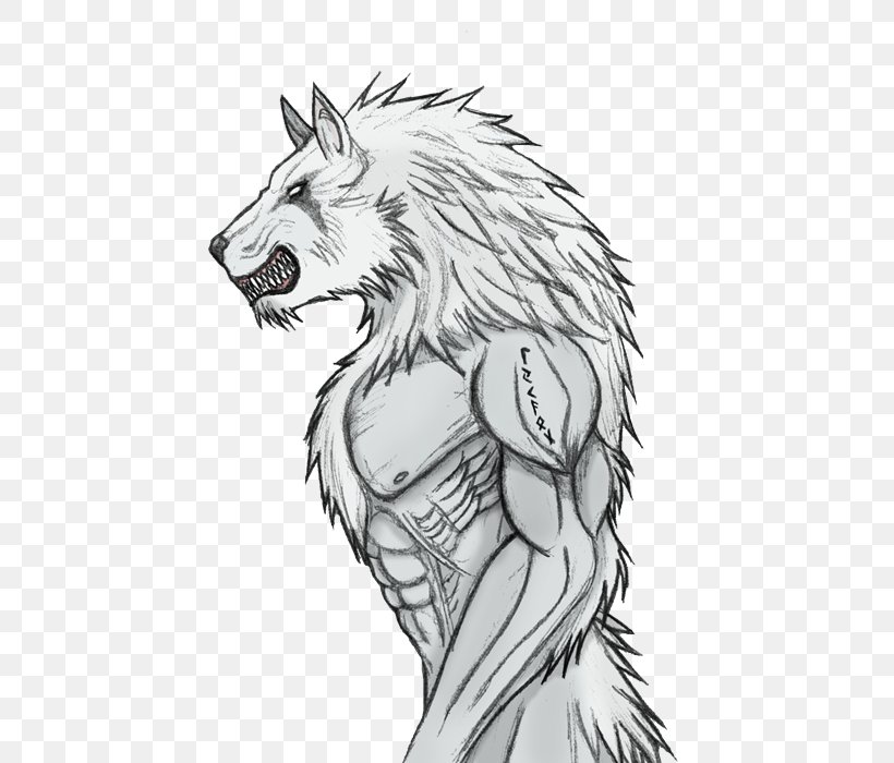 Gray Wolf Werewolf Lycaon Drawing Sketch, PNG, 501x700px, Gray Wolf, Art, Artwork, Big Cats, Black And White Download Free