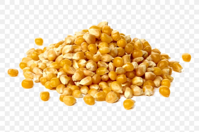 Grits Animal Feed Maize Cornmeal Sweet Corn, PNG, 1500x1000px, Grits, Animal Feed, Bean, Cattle Feeding, Commodity Download Free