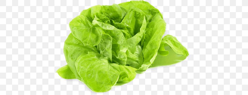 Leaf Lettuce Vegetable Iceberg Lettuce Variety Food, PNG, 451x314px, Leaf Lettuce, Brussels Sprout, Calorie, Chard, Cruciferous Vegetables Download Free