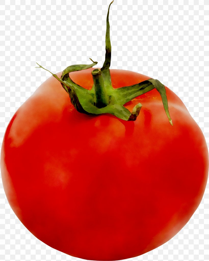 Plum Tomato Bush Tomato Diet Food, PNG, 1606x2008px, Plum Tomato, Bush Tomato, Cherry Tomatoes, Diet, Diet Food Download Free