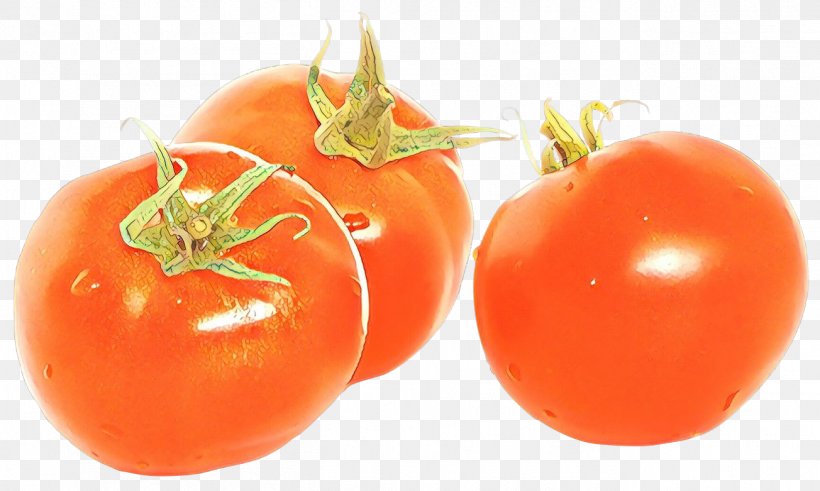 Tomato, PNG, 1304x781px, Cartoon, Bush Tomato, Food, Fruit, Local Food Download Free