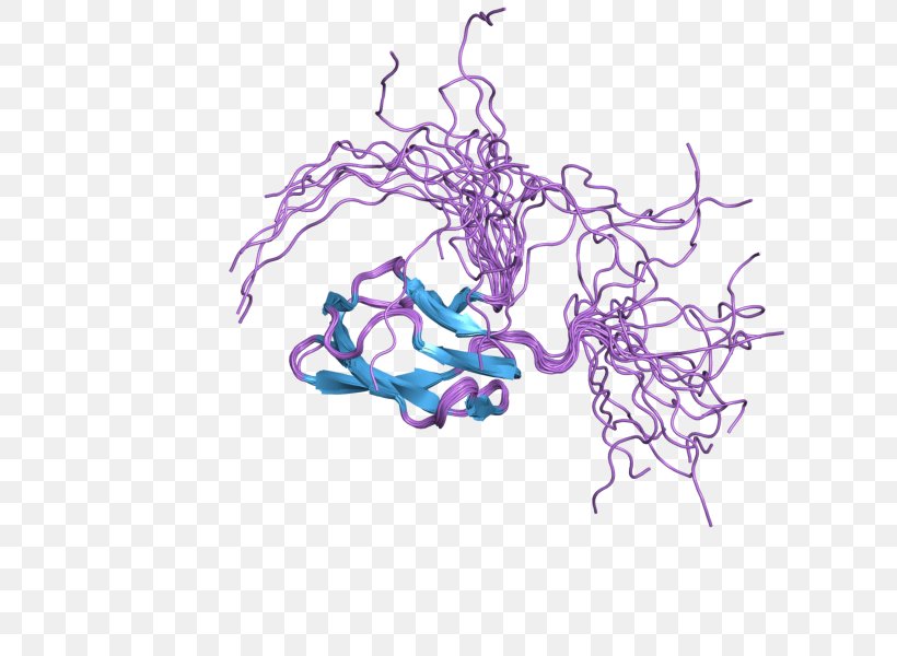 ACACB Acetyl-CoA Carboxylase Carnitine Palmitoyltransferase I Carboxylation Protein, PNG, 800x600px, Watercolor, Cartoon, Flower, Frame, Heart Download Free