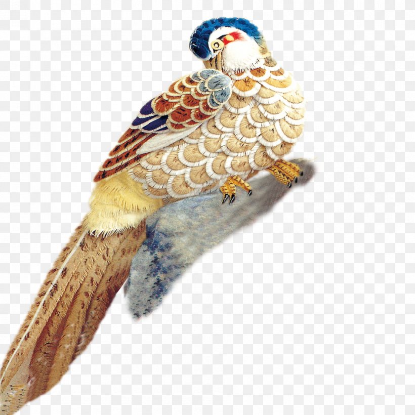 Bird Mandarin Duck, PNG, 945x945px, Bird, Beak, Bird Of Prey, Duck, Falcon Download Free