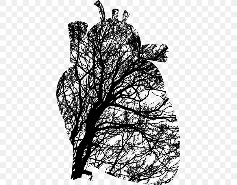 Emergency Medicine T-shirt Cardiology Research, PNG, 429x640px, Medicine, Blackandwhite, Botany, Branch, Cardiology Download Free