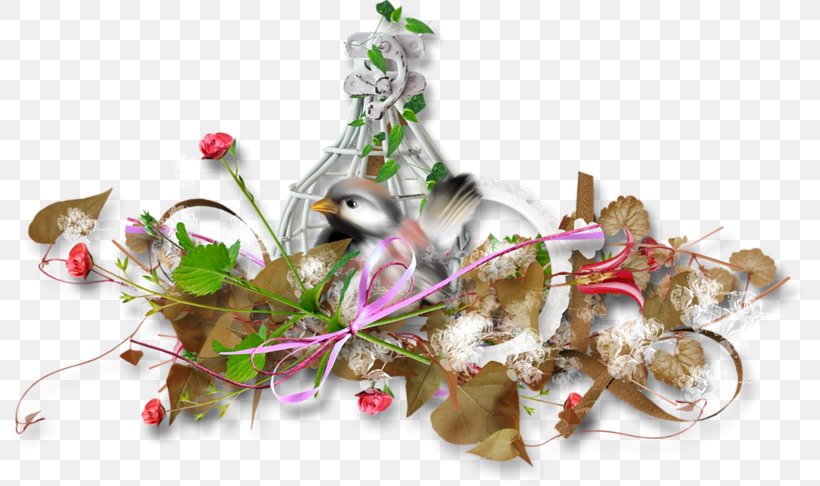 Flower Clip Art, PNG, 800x486px, Flower, Blog, Christmas, Christmas Ornament, Floral Design Download Free