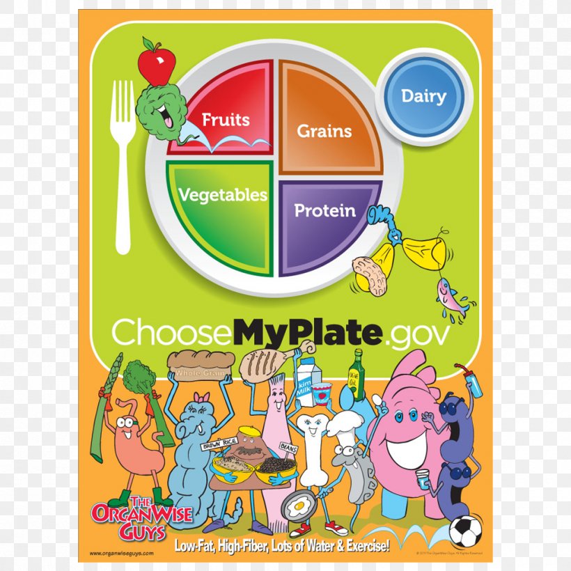 MyPlate Nutrition Food Pyramid Food Group MyPyramid, PNG, 1000x1000px, Myplate, Area, Choosemyplate, Eating, Food Download Free