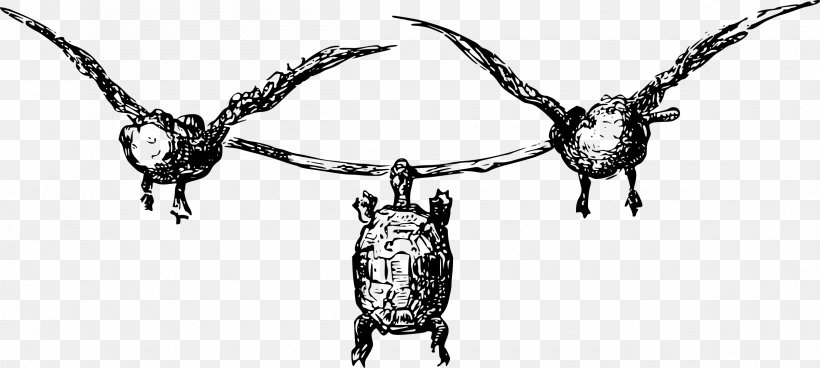 Turtle Aesop's Fables Tortoise Clip Art, PNG, 2400x1078px, Turtle, Black And White, Body Jewelry, Chain, Drawing Download Free