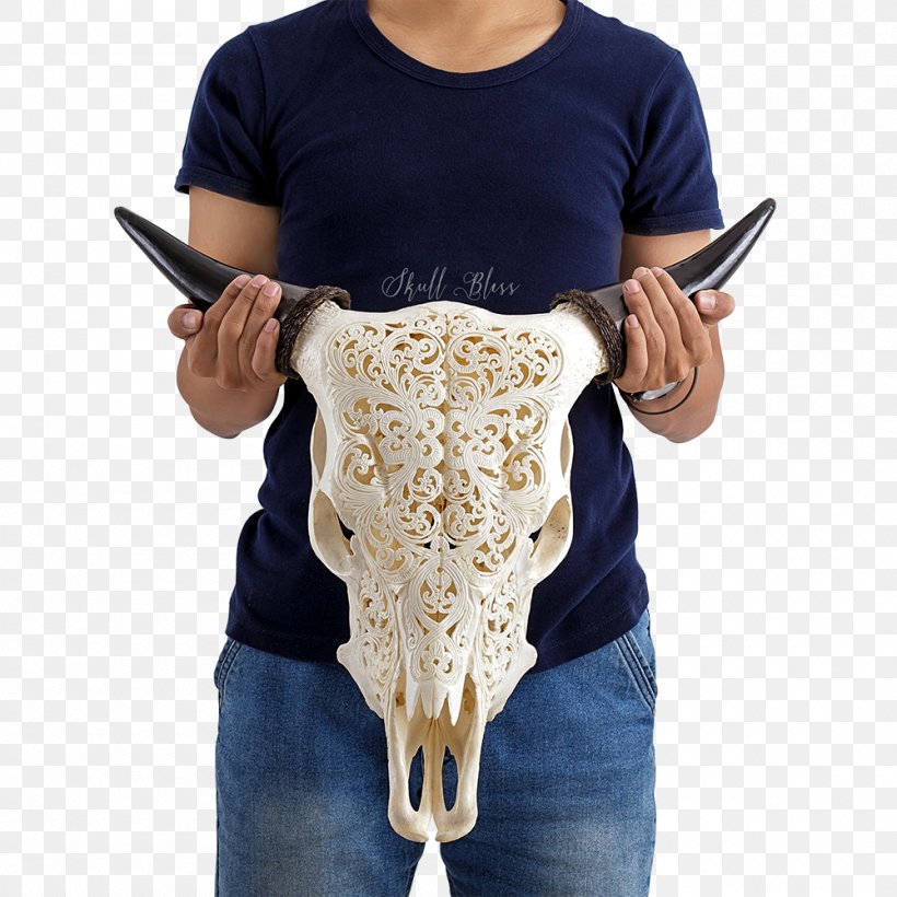 Cattle XL Horns Skull Milk, PNG, 1000x1000px, Cattle, Bottle, Celts, Centimeter, Chair Download Free