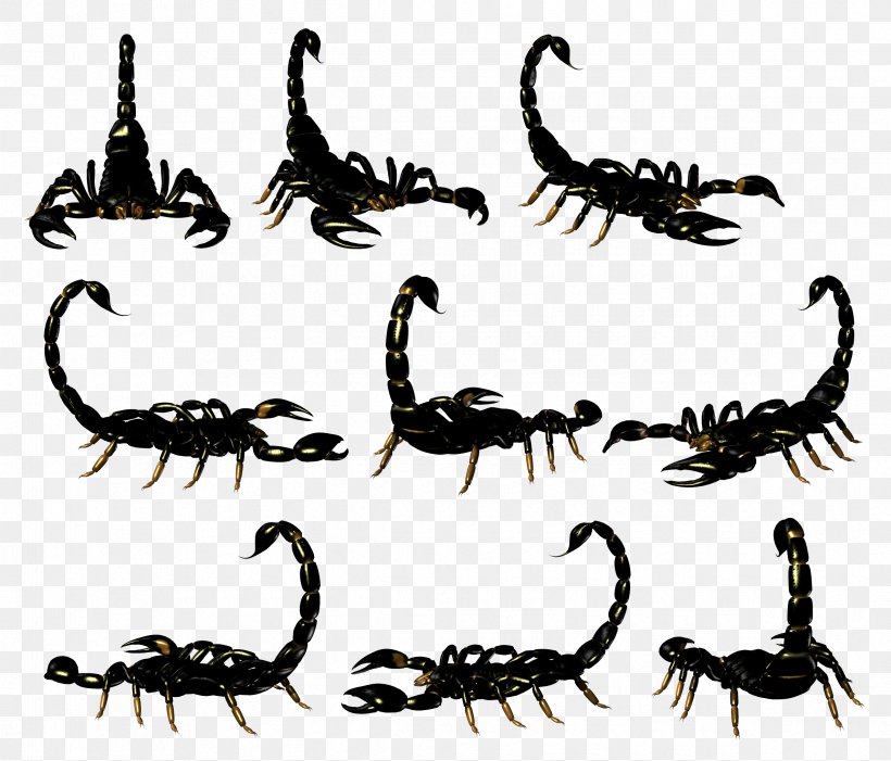 Scorpion Clip Art, PNG, 2375x2031px, Scorpion, Arthropod, Centipede, Digital Image, Drawing Download Free