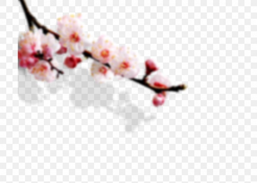 Chinese Cuisine, PNG, 1400x1000px, Chinese Cuisine, Blossom, Branch, Cherry Blossom, Dougan Download Free