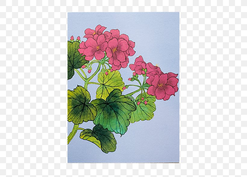 Crane's-bill Paper Watercolor Painting Floral Design, PNG, 500x586px, Crane Sbill, Annual Plant, Cornales, Flora, Floral Design Download Free