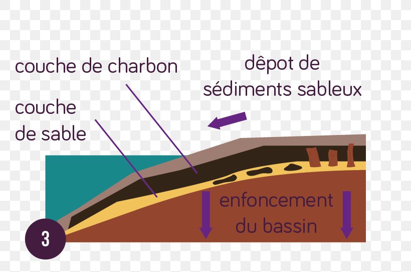 Fossil Fuel Coal Energy, PNG, 769x542px, Fossil Fuel, Charcoal, Coal, Coal Preparation Plant, Diagram Download Free