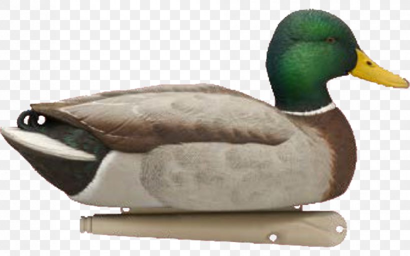 Mallard Duck Decoy Goose, PNG, 940x587px, Mallard, Anatidae, Beak, Bird, Canard Download Free