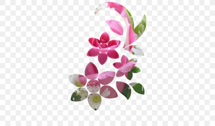 Moth Orchids Flower Floral Design Petal, PNG, 640x480px, Moth Orchids, Blossom, Floral Design, Flower, Flowering Plant Download Free