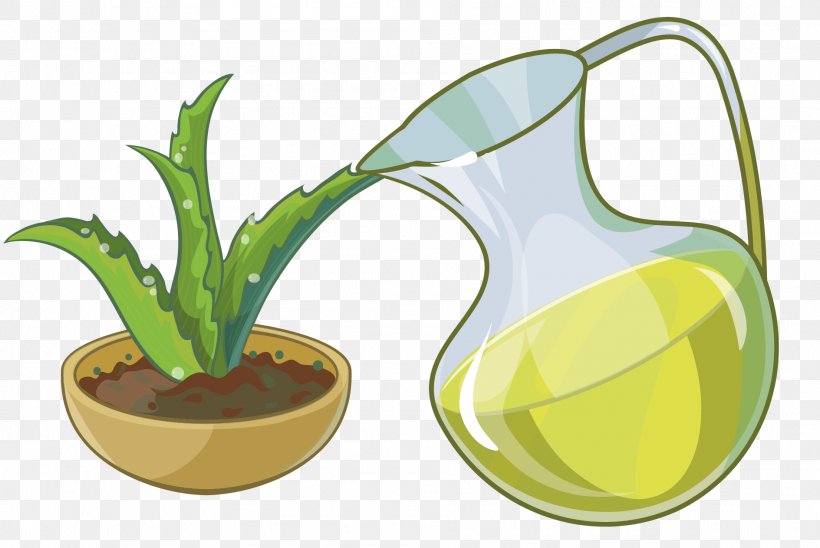 Aloe Succulent Plant, PNG, 1889x1264px, Aloe, Ananas, Bromeliaceae, Cactaceae, Cartoon Download Free