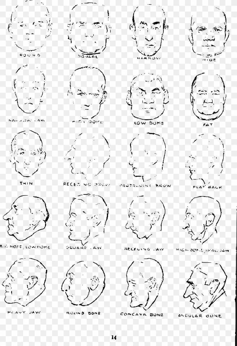 Drawing The Head And Hands Potrace Sketch, PNG, 1614x2351px, Drawing The Head And Hands, Andrew Loomis, Area, Black And White, Drawing Download Free