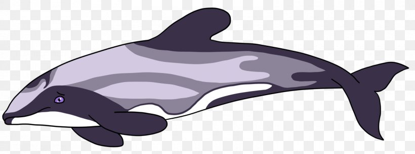 Maui's Dolphin Porpoise Cetaceans Clip Art, PNG, 1600x599px, Dolphin, Art, Artist, Cetaceans, Deviantart Download Free