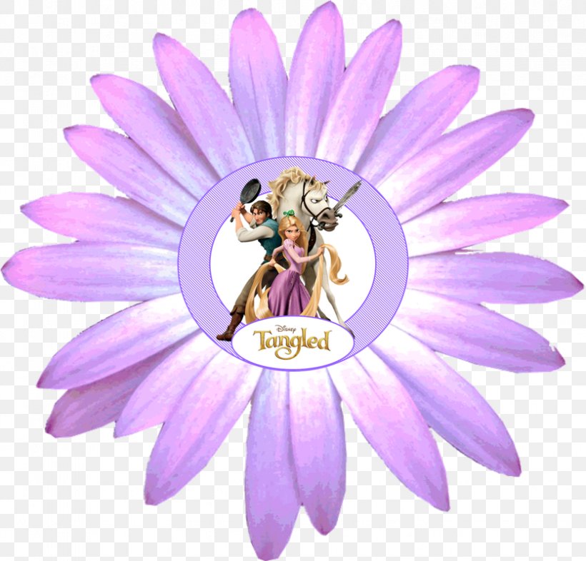 Transvaal Daisy Common Daisy Daisy Family Flower Clip Art, PNG, 834x800px, Transvaal Daisy, Bee, Chamomile, Common Daisy, Cut Flowers Download Free