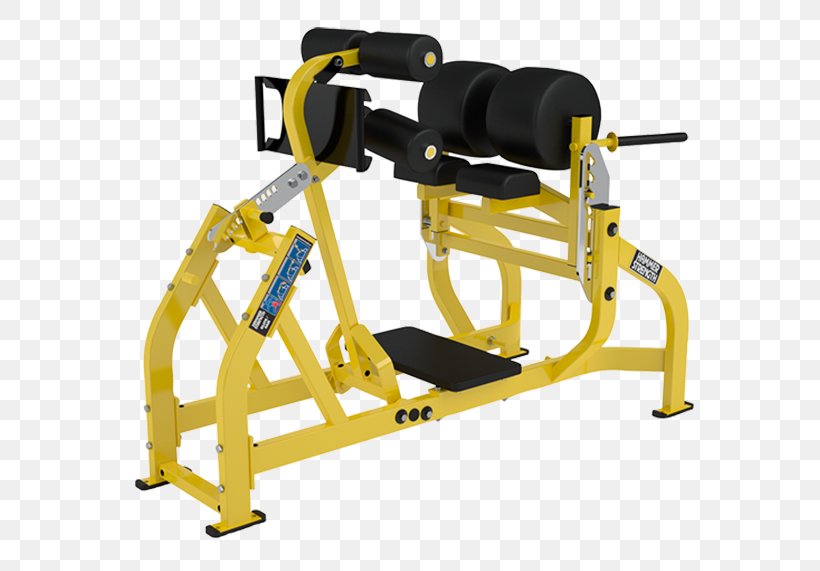 Bench Strength Training Exercise Equipment Gluteus Maximus Gluteal Muscles, PNG, 745x571px, Bench, Abdominal Exercise, Biceps Curl, Bodybuilding, Crunch Download Free