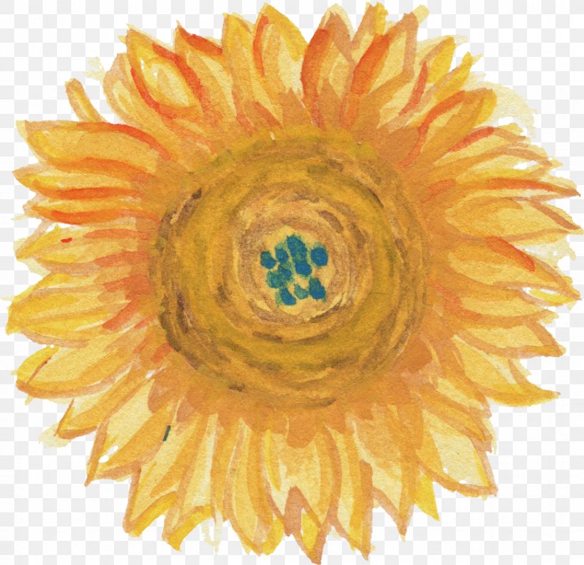 Common Sunflower Transparent Watercolor Watercolor Painting, PNG, 870x843px, Common Sunflower, Art, Art Museum, Cut Flowers, Daisy Family Download Free