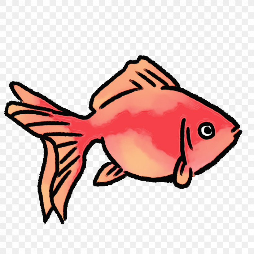 Cartoon Fish Science Biology, PNG, 1200x1200px, Watercolor, Biology, Cartoon, Fish, Paint Download Free
