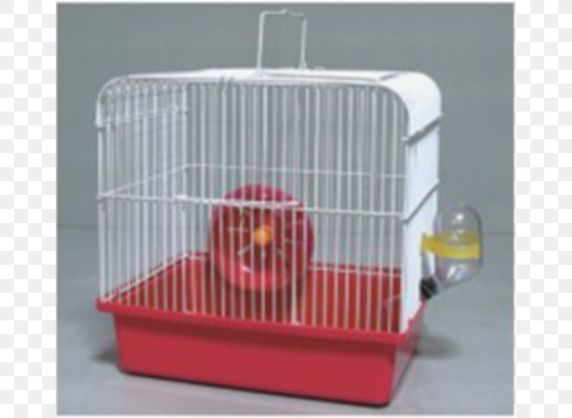 Cage Dog Crate 4K Resolution, PNG, 800x600px, 4k Resolution, Cage, Crate, Dog, Dog Crate Download Free