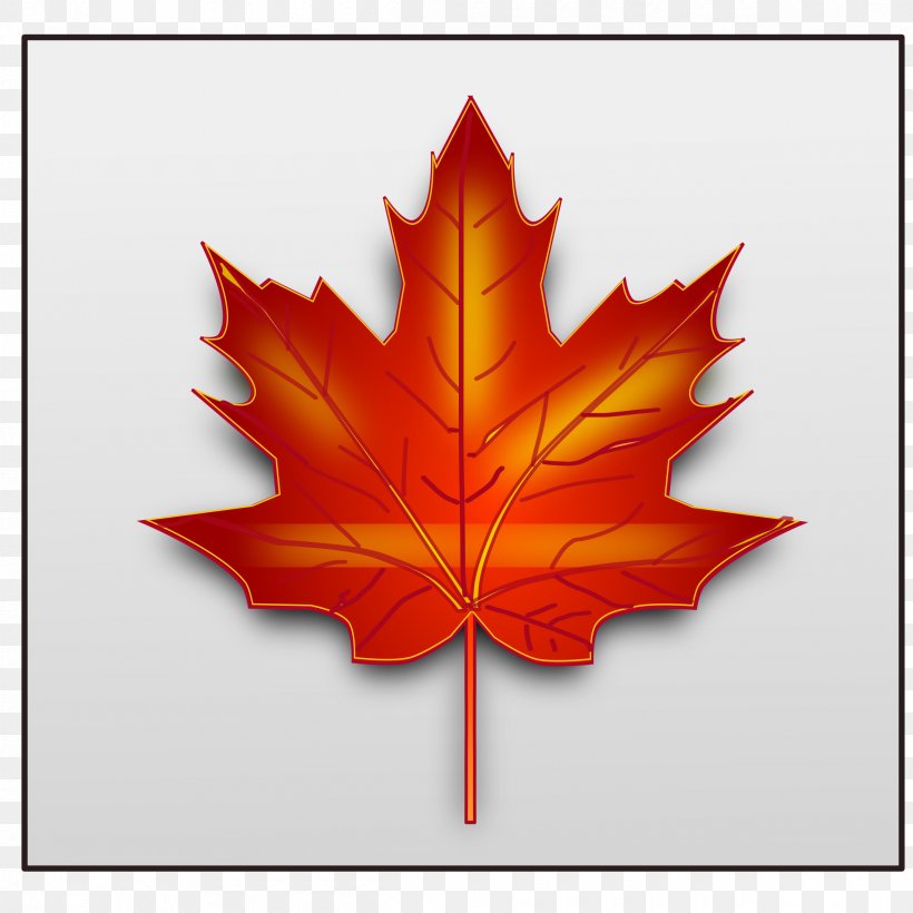Canada Maple Leaf Clip Art, PNG, 2400x2400px, Canada, Autumn, Autumn Leaf Color, Flag Of Canada, Flowering Plant Download Free