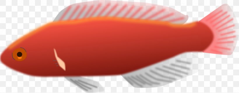 Ornamental Fish Clip Art, PNG, 958x376px, Ornamental Fish, Aquarium, Brush, Close Up, Drawing Download Free