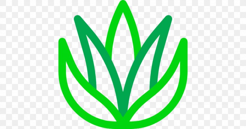 Aloe Vera, PNG, 1200x630px, Aloe Vera, Grass, Grass Family, Grasses, Green Download Free