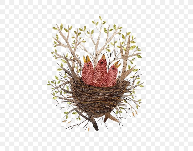 Bird Nest Paper Finch Illustration, PNG, 493x640px, Bird, Art, Bird Nest, Branch, Drawing Download Free