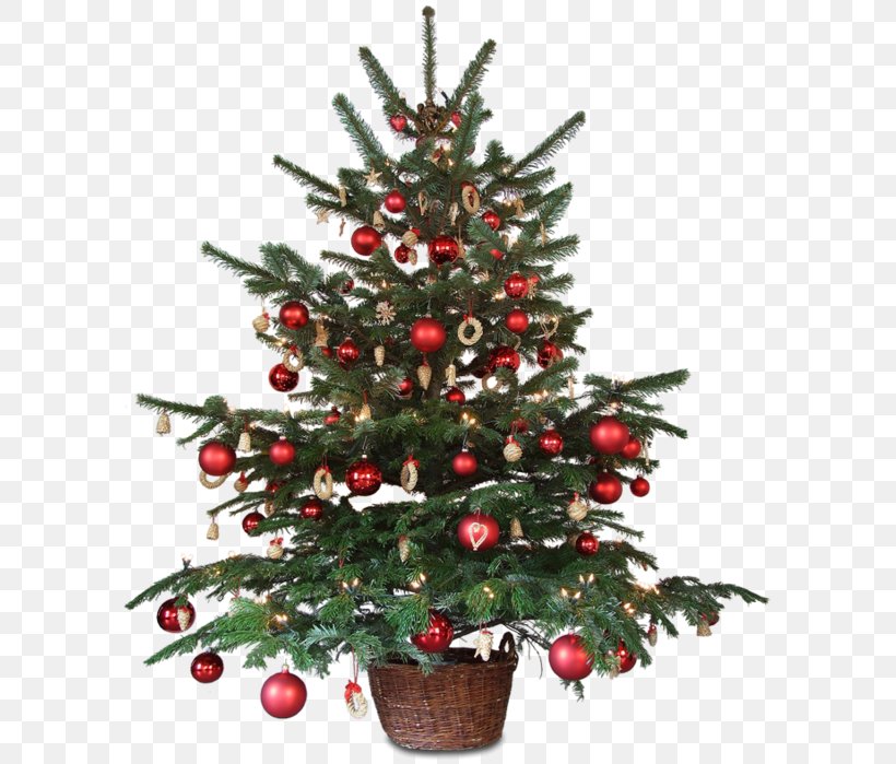 Christmas Decoration Animated Film Christmas Tree, PNG, 594x699px, Christmas Decoration, Animated Film, Christmas, Christmas Lights, Christmas Ornament Download Free