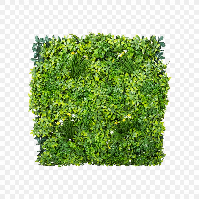 Gardening Shrub Green Wall Lawn, PNG, 1600x1600px, Garden, Artificial Flower, Artificial Turf, Box, Evergreen Download Free