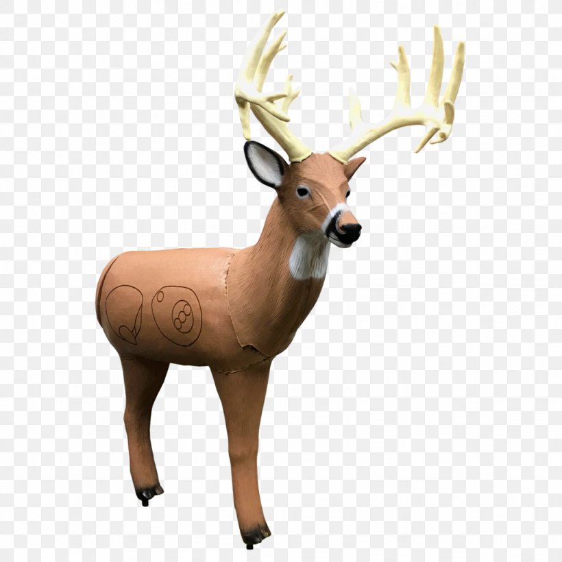 Reindeer Target Archery White-tailed Deer Shooting Target, PNG, 1024x1024px, Reindeer, Antler, Archery, Bow And Arrow, Coyote Download Free