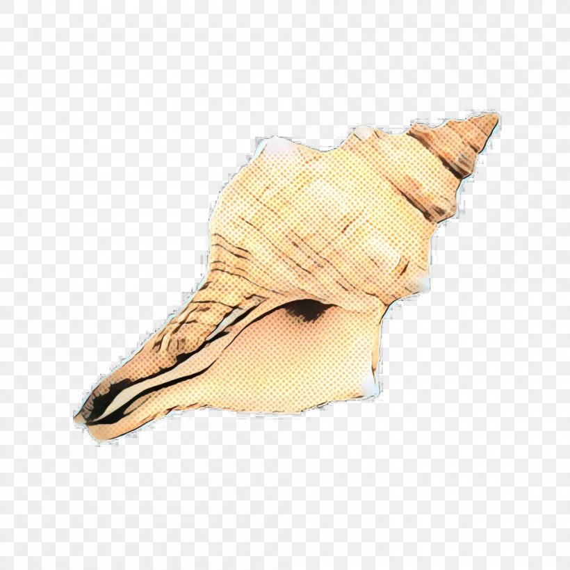 Wind Cartoon, PNG, 1000x1000px, Trumpet, Beige, Conch, Conchology, Musical Instrument Download Free
