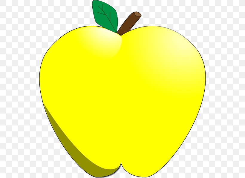 Apple Golden Delicious Clip Art, PNG, 558x596px, Apple, Flowering Plant, Food, Fruit, Golden Delicious Download Free